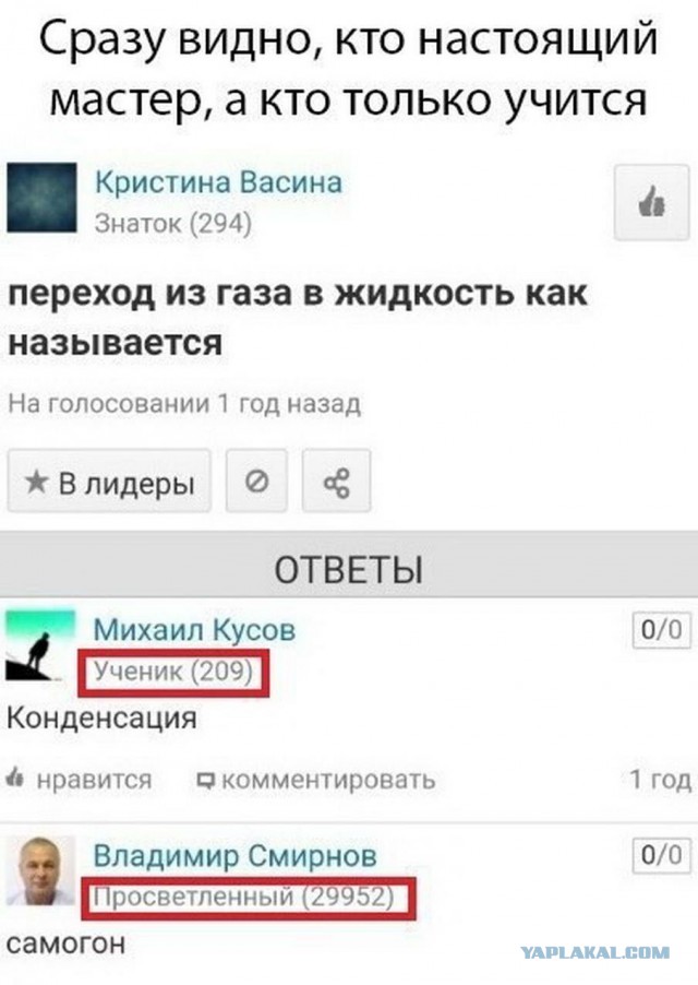 Картинок разных 40 штук