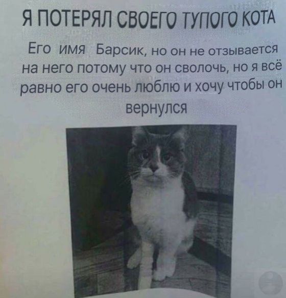 Так себе картинки 03.07.20