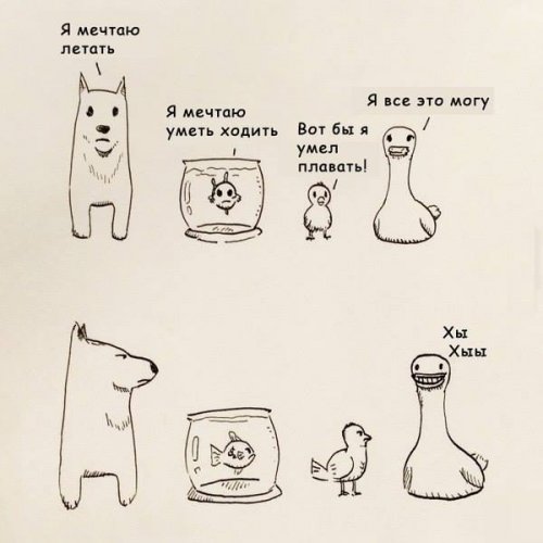 Прикольные и просто красивые картинки 14.08.2020