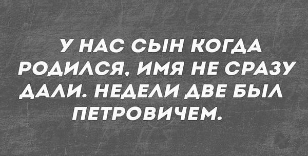 Фотки и картинки: юморные и красивые, забавные и милые 15.09.20