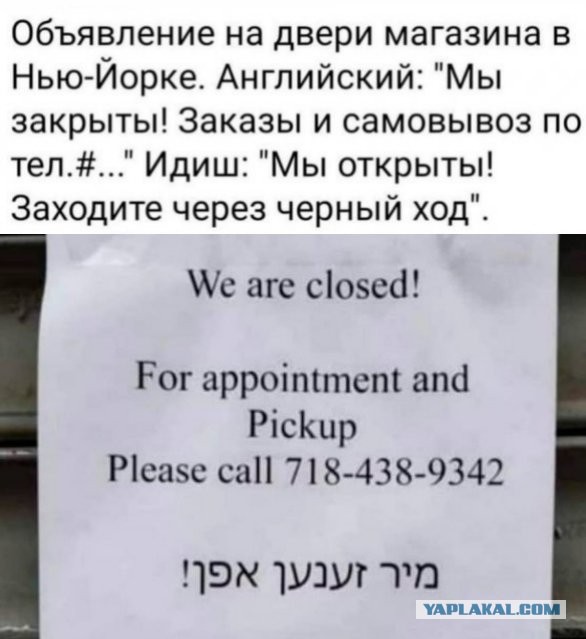 Бредзона 06.11.2020