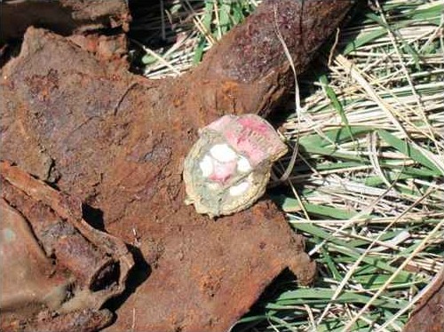 Никто, кроме нас! Десантники в Сталинграде