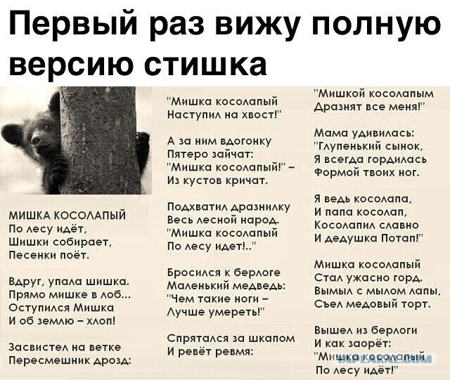 Бредзона 27.02.21