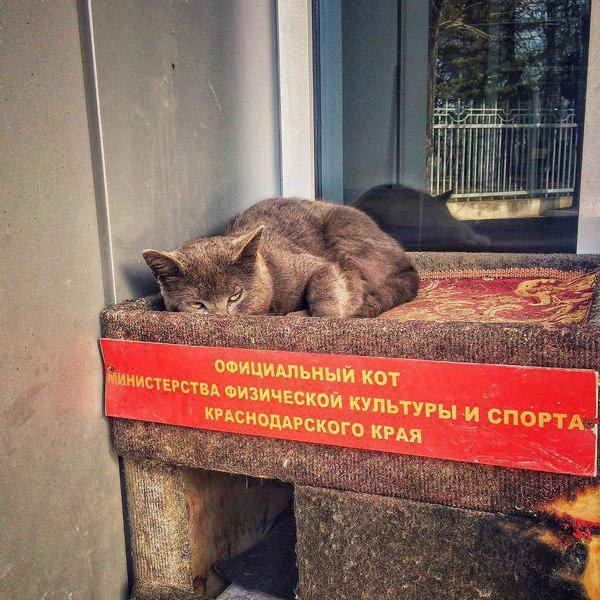 Добрые картинки 28.11.20