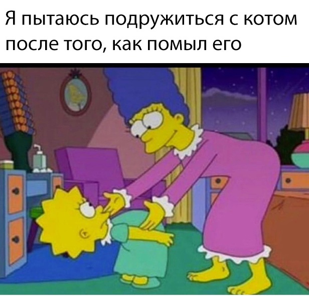 Весёлый полтишок 5.04