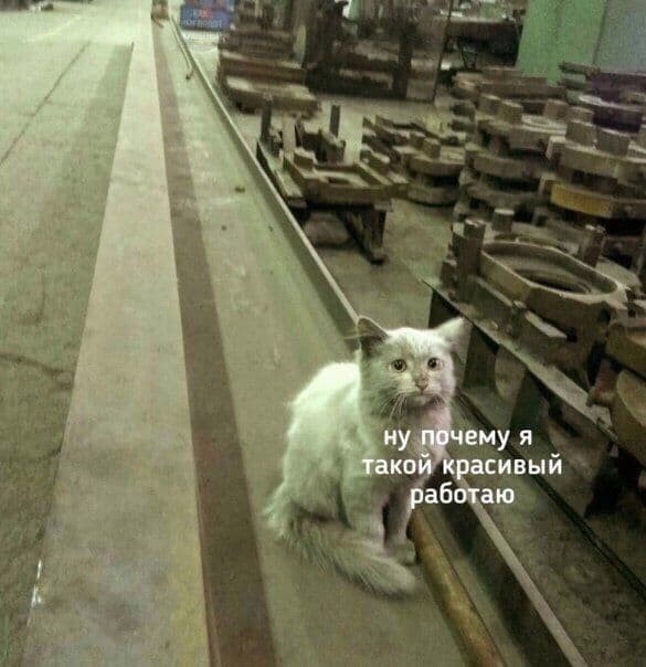 Насохранял
