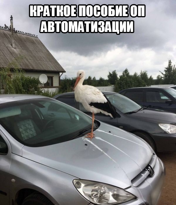 Так себе картинки 1.05.21
