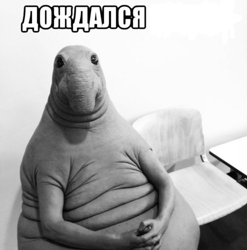 Ищут давно и не могут найти парня какого-то лет тридцати. Урод напал на женщину и ударил кирпичом по голове