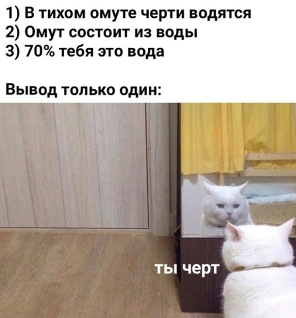 Весёлый полтишок 25.06.