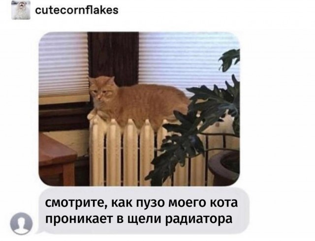 Так себе картинки 31.08.21