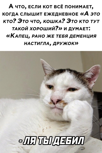 Картинки и мемы для настроения