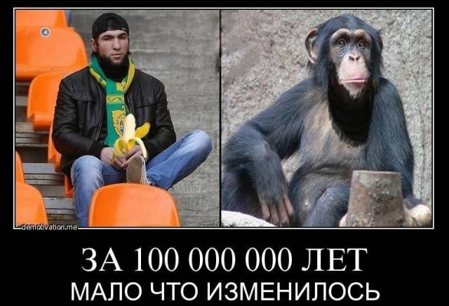 СКР: против солдата-срочника, давшего пощечину памятнику на Кубани, завели уголовное дело