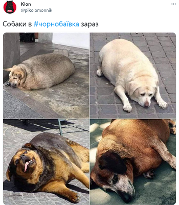 Так какой был план спецоперации?