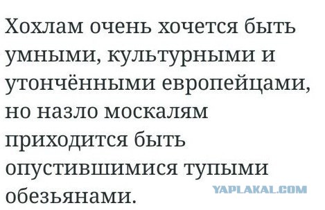 В Харькове уничтожили памятник Жукову