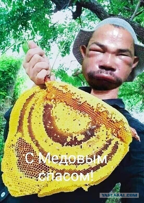 Ура! Немцев догнали!