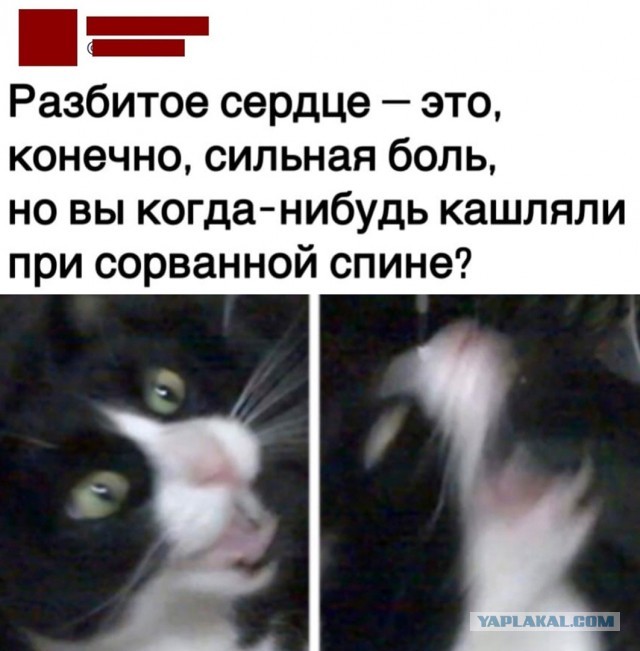 Так себе картинки 21.09.22