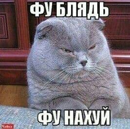 Червона калина, опять...