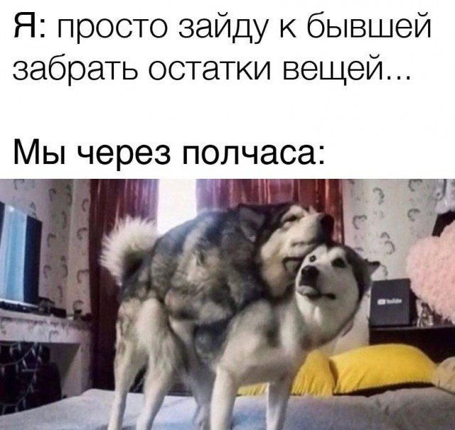 Четверг (Почти пятница). И немного слегка пошлых картинок с надписями и без 16+ (03.11)