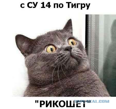 Wargaming 2