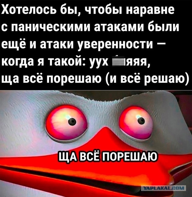 From дурдом (баяны)