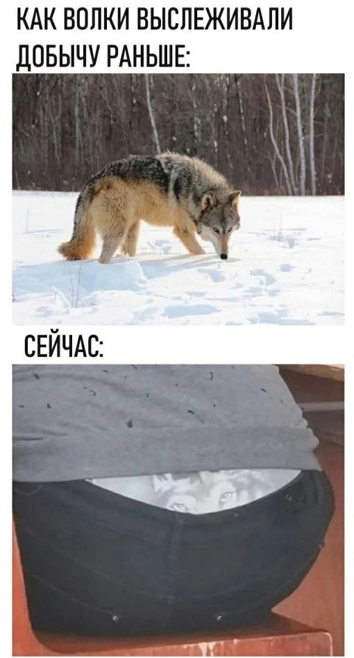 Нуштош 11.02.23