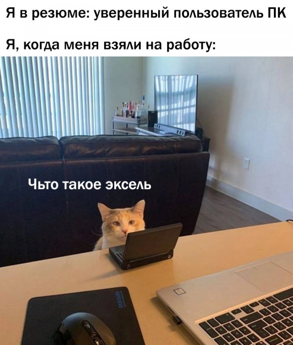 Картинки и мемы для настроения - 137