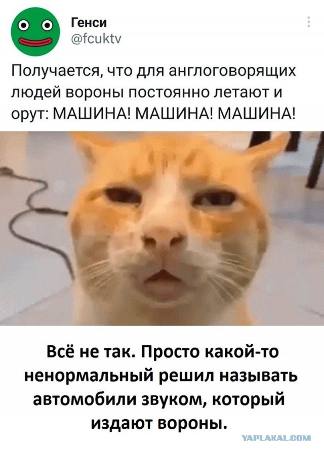 Весёлый полтишок 18.04.23