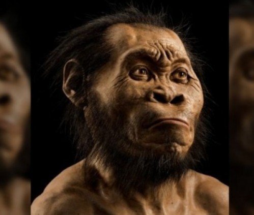 Nature: Древние предки людей хоронили своих умерших за 100 тысяч лет до появления человека разумного