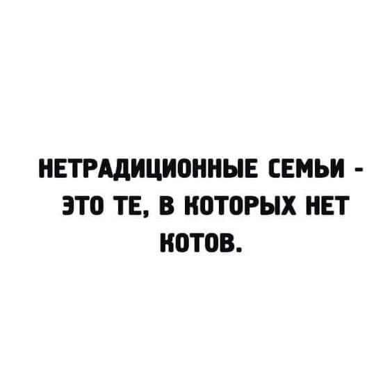 Аквариум в Монтерей, рыбы и коты