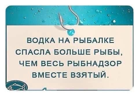 Немного забавных картинок от 22.12.24