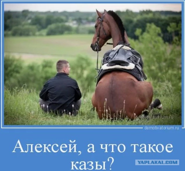 Лошадиные силы