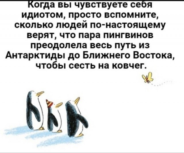 Так себе картинки 09.08.25