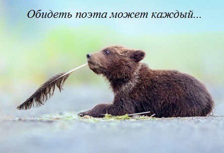 Веселое настроение в картинках (27.10.2025)