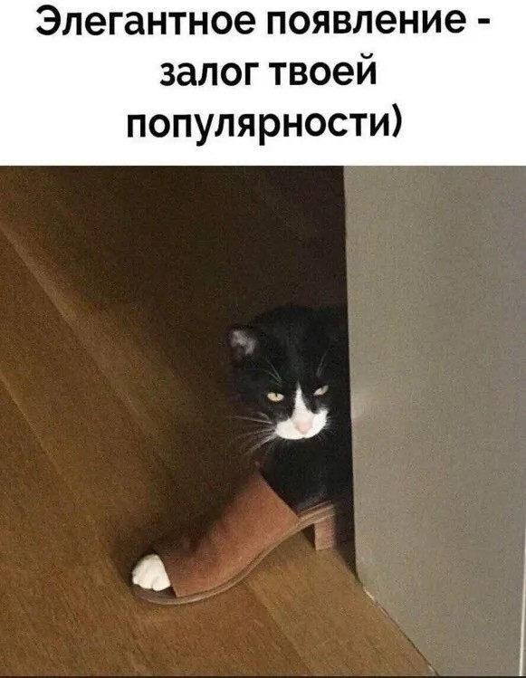 Юмор в картинках и без