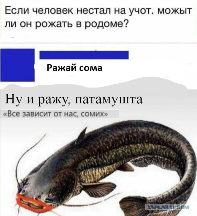 Картинки для деградации 101 (разной степени свежести)