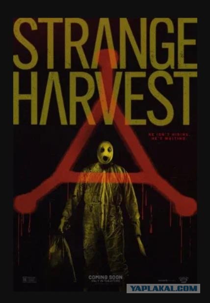 Фильмы, которые стоит смотреть, смотрим сами и советуем другим