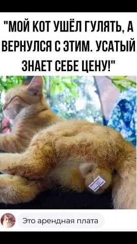 Среды картинки