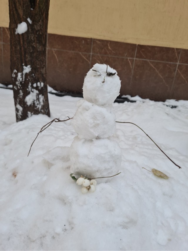 Воскресные картинки