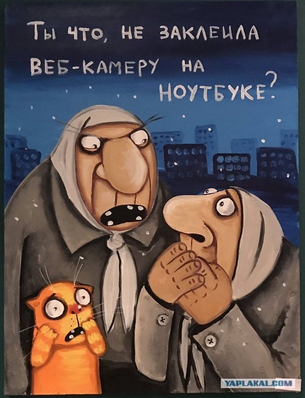 Самый безопасный мессенджер, мошенники, девушка и 80 колов...казалось бы, что могло пойти не так?!