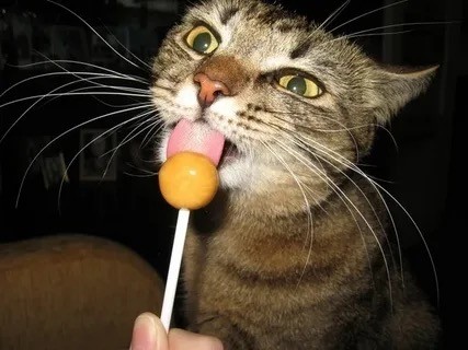 Мало постов на ЯП.