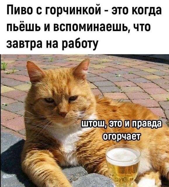 Картинки без критики