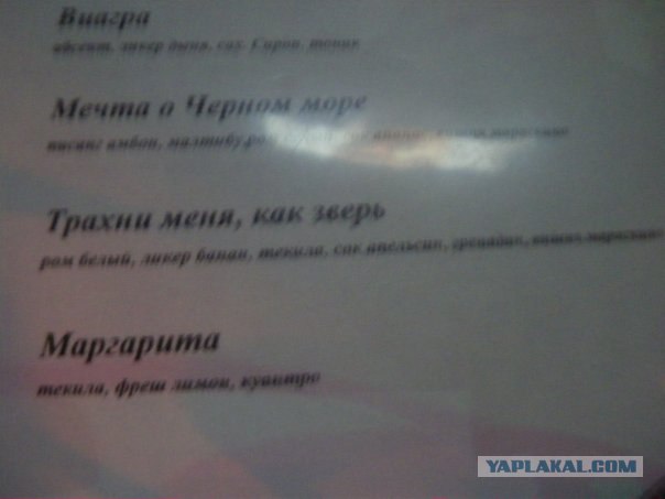 Что мы видим вокруг себя