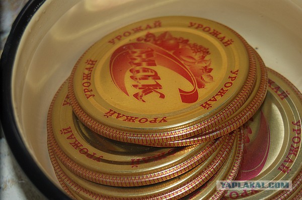Лето в банках от FrauMartа)), Консервируем...