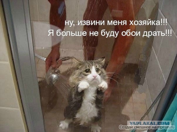 Чёрт, чёрт, чёрт!