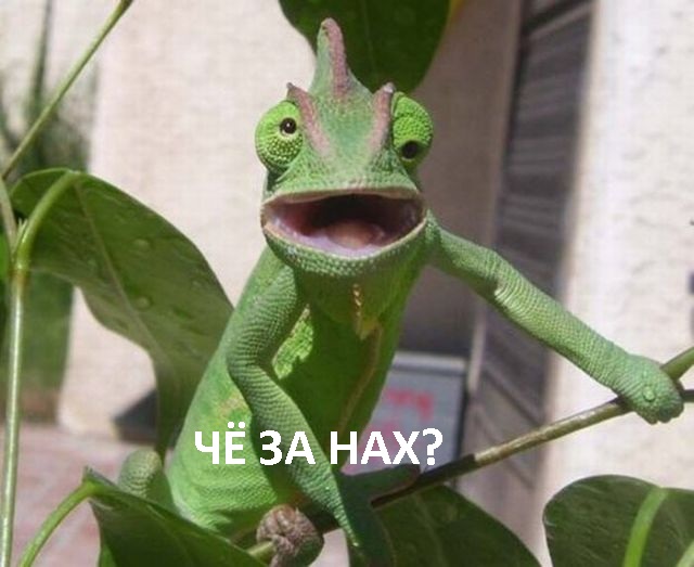 Подборка чудил из соцсетей