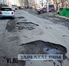 Отечественный мост во Владивостоке