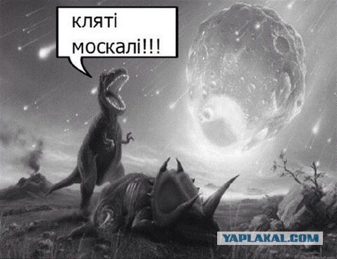 комментарии из соц сетей.