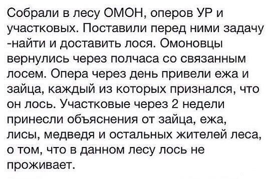 Подборка картинок