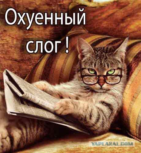 День международного валютного транша