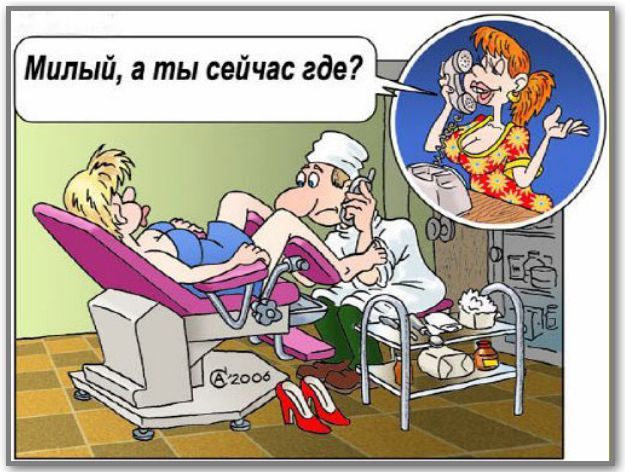 Забавные картинки из Сети